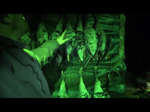 Видео: Охота на гуся в болотах #28.1 \ Шикарные налёты в глубоких сумерках