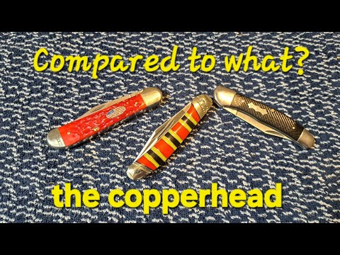 Видео: Сравнение медянок.