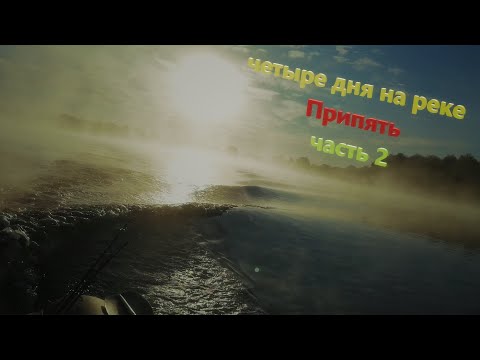 Видео: Четыре дня на реке Припять. ДТП на воде!!! ПРОБИЛИ лодку, чуть не пошли ко дну! Часть 2