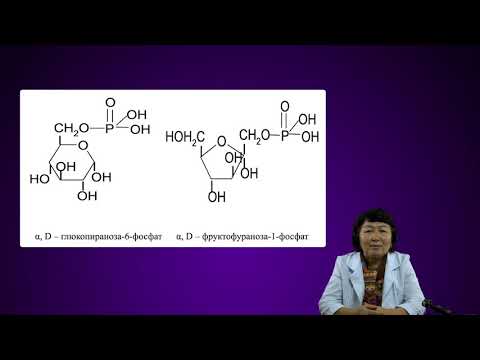 Видео: Көмірсулар. Моносахаридтердің химиялық қасиеттері. Дисахаридтер. Полисахаиридтер.
