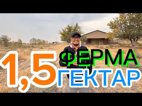 Видео: АЖОЙИБ 1,5-ГЕКТАР ЕР ЖОЙ ФЕРМА ТЕЗДА СИЗ УЧУН СОТИЛАДИ.
