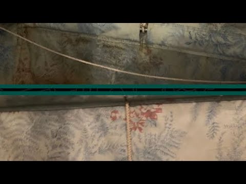 Видео: избавляемся от плесени , чистим жалюзи, советы от Ричарда. плесень как она есть