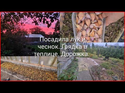 Видео: Посадила лук и чеснок. Грядка в теплице. Дорожка. Красивый рассвет.