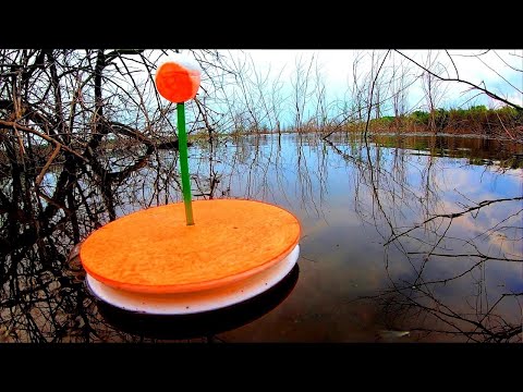 Видео: Ловля Карпа на КРУЖКИ- МАКУШАТНИКИ в затопленном лесу. Рыбалка на карпа