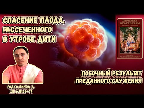 Видео: Спасение плода, рассеченного в утробе Дити. Побочный результат преданного служения. Радха Винод д.