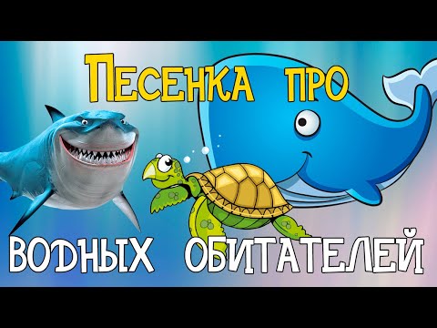 Видео: Песенка про подводный мир! Кит, Акула, Крокодил, Черепаха, Краб!