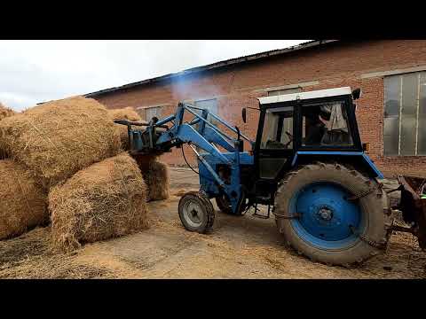 Видео: Рабочие будни продолжаются!