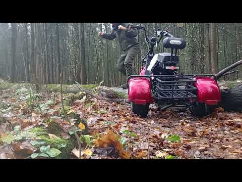 Видео:  На  лесной тропе попалось бревно , можно ли его переехать ?29 октября 2025 г.