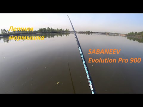 Видео: Летняя мормышка. Удилище Sabaneev Evolution Pro 900