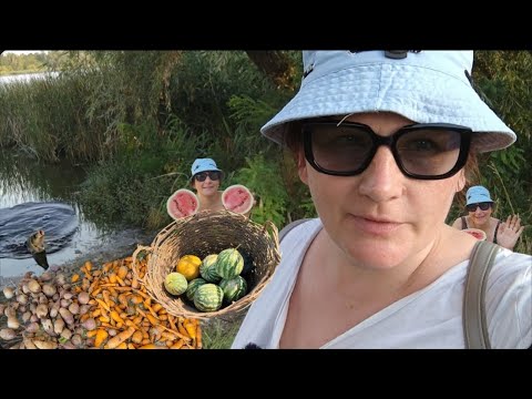 Видео: Ленивый огород😁Что выросло пока я была на рыбалке🎣😎