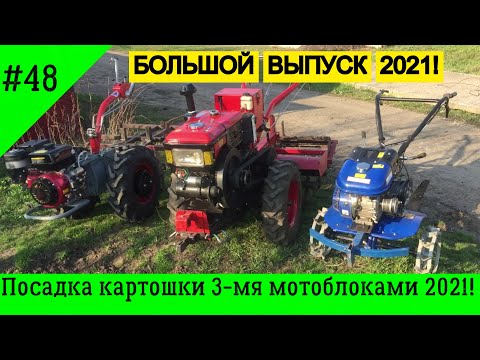 Видео: Посадка картошки 3 мотоблоками 2021