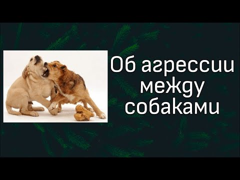 Видео: Разбор видео Антуана Наджаряна.