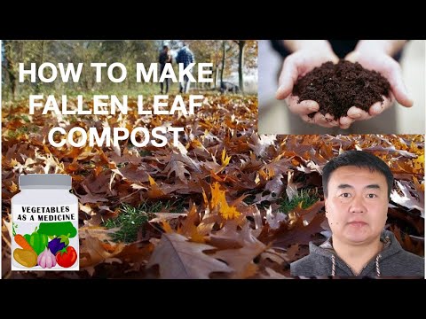 Видео: Навчаар хэрхэн компост хийх вэ?  How to make leaf compost.