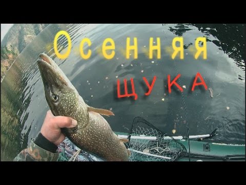 Видео: Осенняя щука 2016 Волшебная вертушка...щука в шоке! Mepps Lusox