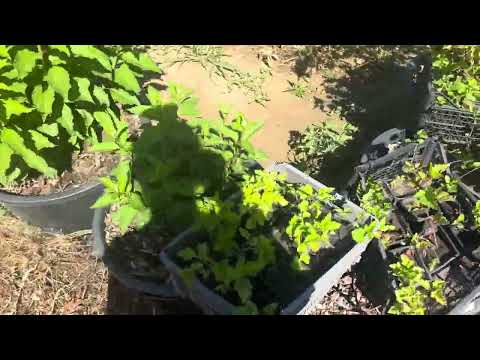 Видео: Что с этим годом не так? 😞