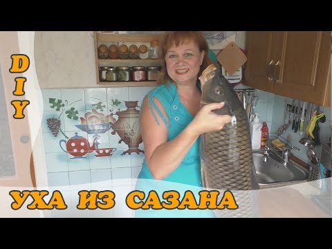 Видео: Уха из сазана