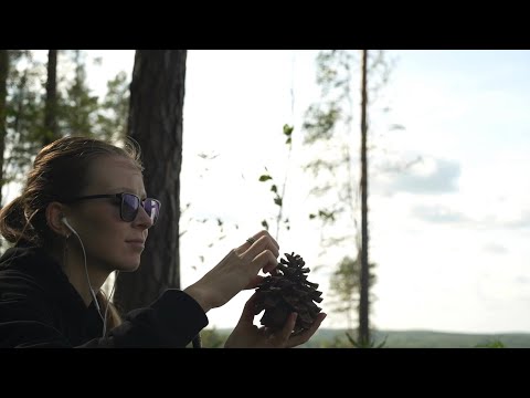 Видео: Медленный ASMR на природе. Таппинг под звуки ветра
