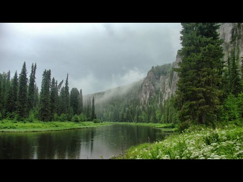 Видео: Знакомство с рекой Берёзовой / Сплав от Вижая до Валая / 2 часть #394