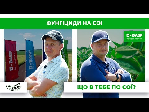 Видео: Фунгіциди на сої: хвороби, речовини, застосування