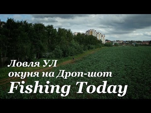 Видео: Ловля УЛ окуня на Дроп-шот - Fishing Today