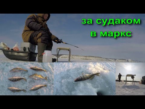 Видео: ЗА СУДАКОМ В МАРКС, НО БРАЛ ТОЛЬКО БЕРШ. 2024.