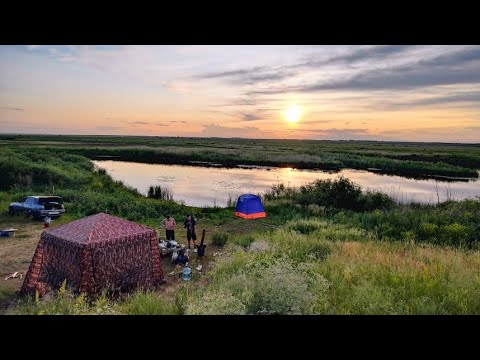 Видео: Отдых, рыбалка Костанай п. Садчиковка река Тобол  12-13 июня 2025 г.