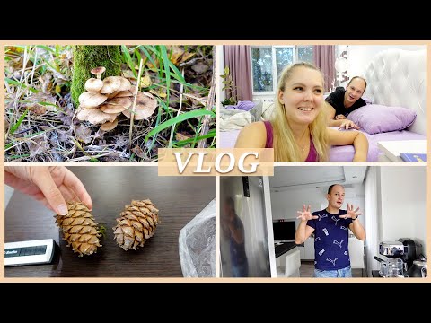 Видео: СОБИРАЕМ ГРИБЫ | О КЕДРОВЫХ ОРЕХАХ | КАК ВЫБРАТЬ СУШИЛЬНУЮ МАШИНУ?