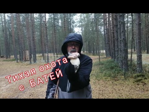 Видео: Тихая охота с батей