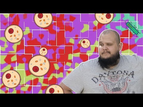 Видео: Заражение пива часть 1. Или почему чистота важнее дозы засева?