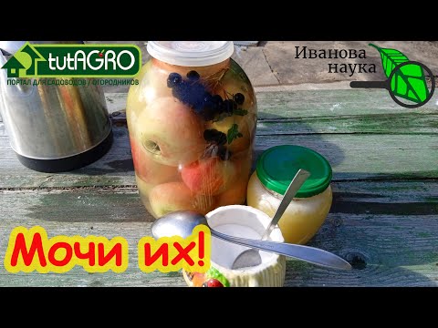 Видео: ОЧЕНЬ ВКУСНЫЕ МОЧЕНЫЕ ЯБЛОКИ НА МЕДУ. Пошаговый рецепт и секреты домашней технологии.