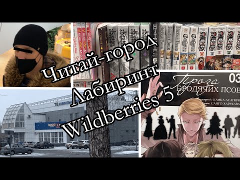 Видео: Поход в Читай-город, Лабиринт, Wildberries 5: распаковка манги.