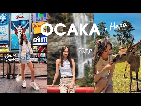 Видео: Осака: лучшие локации и парк с оленями в Наре