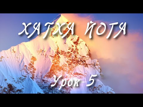 Видео: ХАТХА ЙОГА: Урок 5. Комплекс Для Всех | 7 Асан для Начинающих