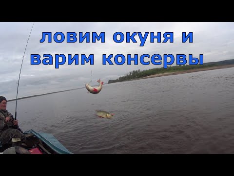 Видео: Окунь на креветку. Консервы в автоклаве Малиновка 3.