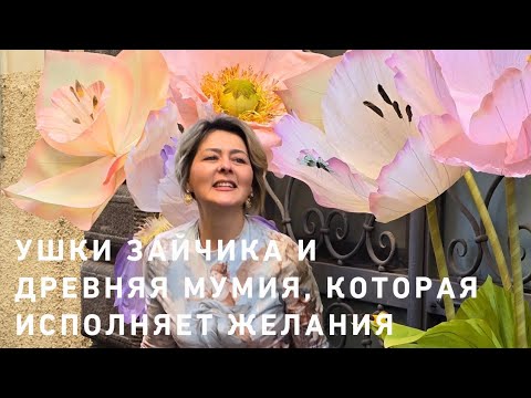 Видео: Утренний макияж🥳👄✨️ Рассказ о древней мумии и грозном Аля-Михаиле Боярском🥸🥸🥸