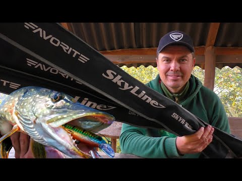 Видео: ✅Як ПРАВИЛЬНО вибрати спінінг для ловлі ЩУКИ🏆?! Джиг та твічинг! На прикладі Favorite Skyline NEW!