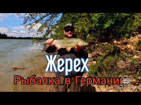 Видео: Рыбалка в Германии. Жерех