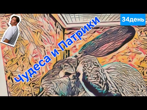 Видео: Импровизация на Патриках: Фотосессия, которую я не планировал