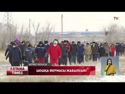 Видео: Ақтөбенің Бестамақ аулының тұрғындары шошқа фермасына қарсы шықты