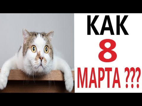 Видео: Лютые приколы. КОТ И 8 МАРТА!!! Самое смешное видео! Засмеялся проиграл! – Domi Show!