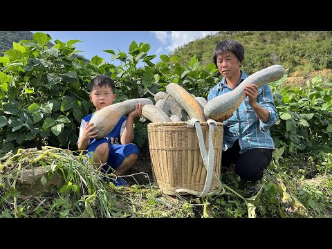 Видео: Золотой осенний урожай тыквы, бабушка делает три тыквенных десерта, нежные, освежающие, мягкие и сл
