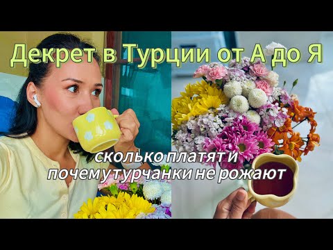 Видео: Жесткие правила турецкого декрета. Почему турчанки не хотят рожать