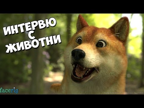 Видео: ИНТЕРВЮ С ЖИВОТНИ