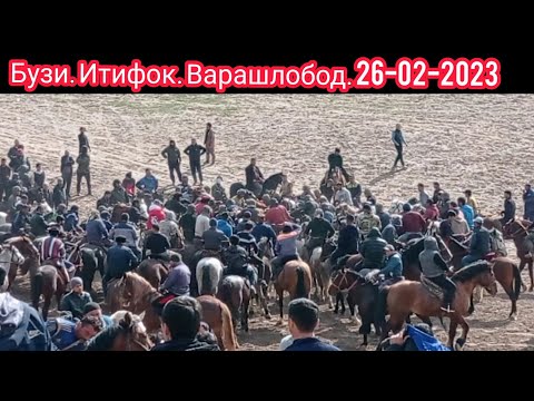 Видео: Бузи итифок варашлобод 26-02-2023