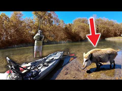 Видео: Мы были НЕ одни на этом ручье...