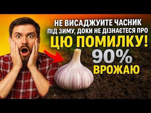 Видео: Не висаджуйте часник під зиму, доки не дізнаєтеся про ЦЮ помилку! ❌ Інакше втратите 90% врожаю.
