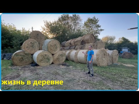 Видео: НАСЫЩЕННЫЙ ДЕНЬ В ДЕРЕВНЕ, КОРОВЫ БЕЗ КОРМОВ НЕ ОСТАНУТСЯ, ДЕРЕВЕНСКАЯ ЖИЗНЬ
