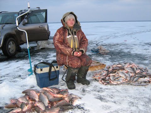 Видео: Сколько рыбы под Вашей лункой на Маныче. 17 февраля  1 часть. 2023 год. Юрий Философ.