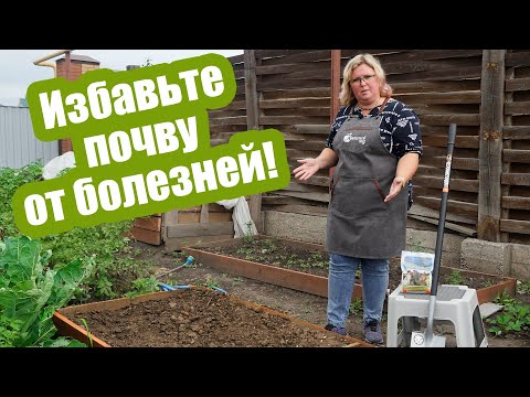 Видео: Как обеззаразить почву от болезней?! 4 средства для любого огорода!