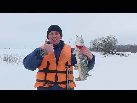 Видео: ЛОВЛЯ ЩУКИ НА РЕЧКЕ.УДАЧНАЯ РЫБАЛКА